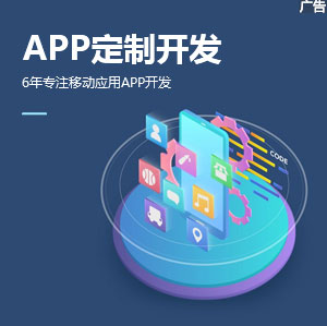 APP定制开发